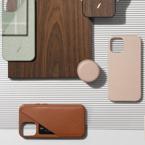 iPhone 12 Pro Max / Protect & Carry