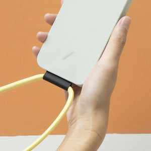 iPhone 13 Pro Max / Cases & Protection