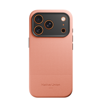 iPhone 17 Pro / Apricot Crush