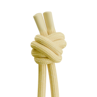 iPhone 17 / Black / Lemon