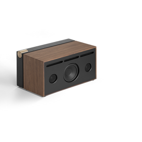 34253182140555,PR/01 - Speaker